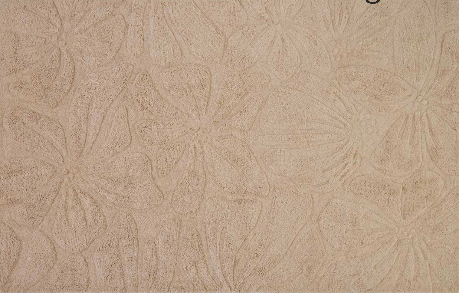 Florence Wool Rug in Blush